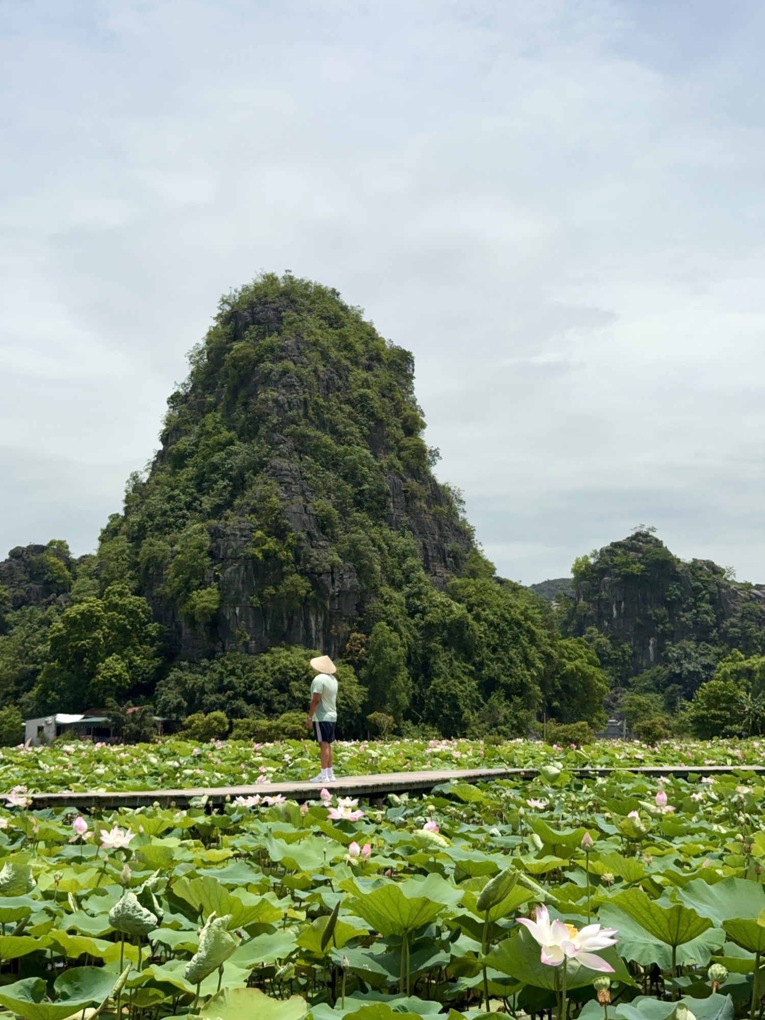 Pitons karstiques du nord Vietnam