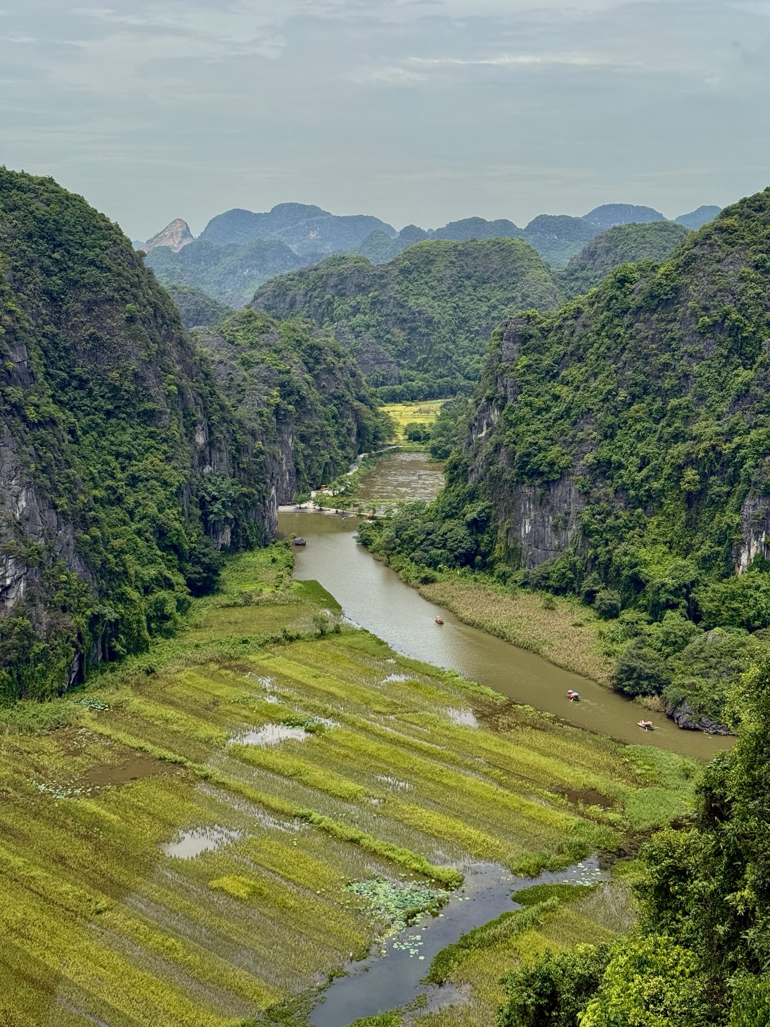 Vue panoramique depuis le sommet de Hang Mua sur la rivière Ngo Dong et les rizières de Tam Coc