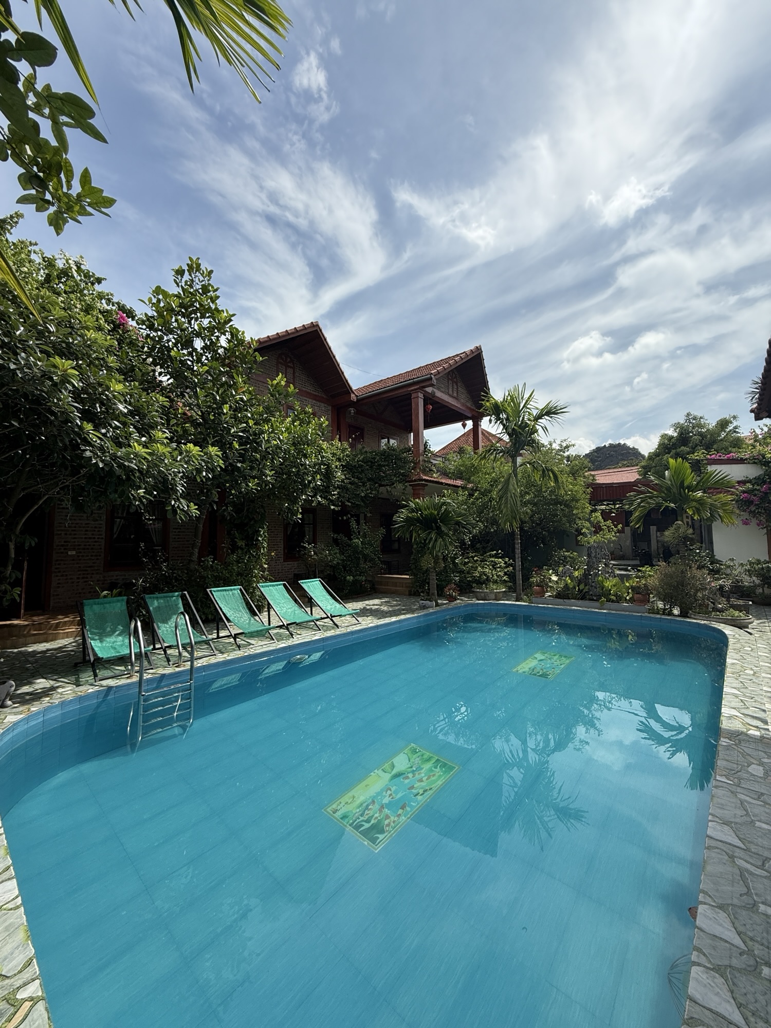 Piscine de la maison d'hôtes Trang An Family Homestay entourée de verdure à Ninh Binh